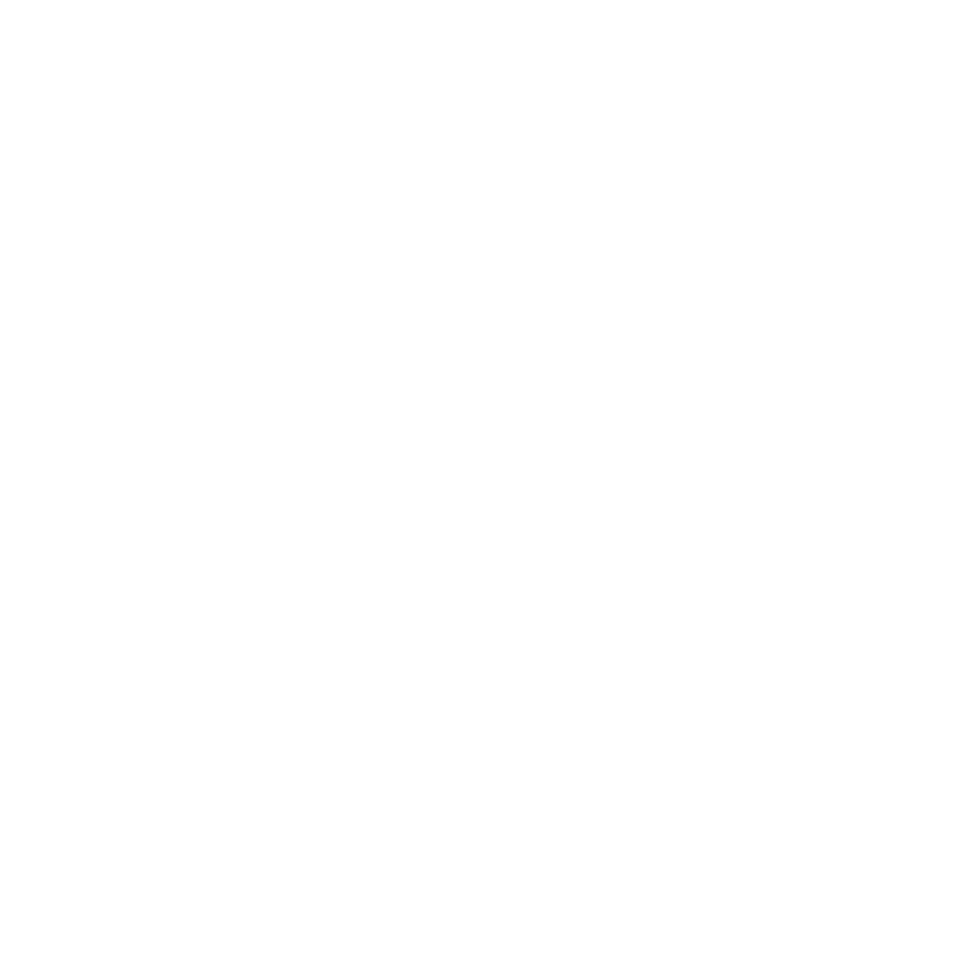 insula
